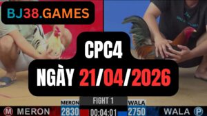 Đá gà thomo CPC4 ngày 21-04-2026